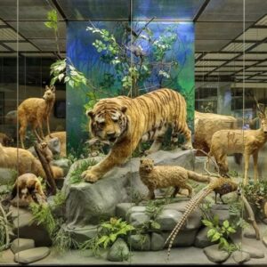 "Музей Дарвина”